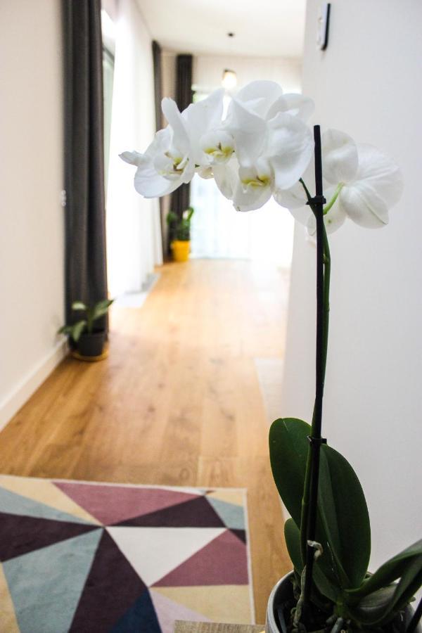 Apartmán 8Ight Brašov Exteriér fotografie